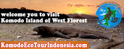 KomodoEcoTourIndonesia.com