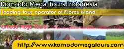 komodomegatours.com