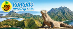 Komodo Open Trip