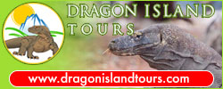 DragonIslandTours.com