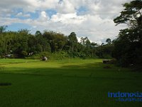 tana toraja tourism 18