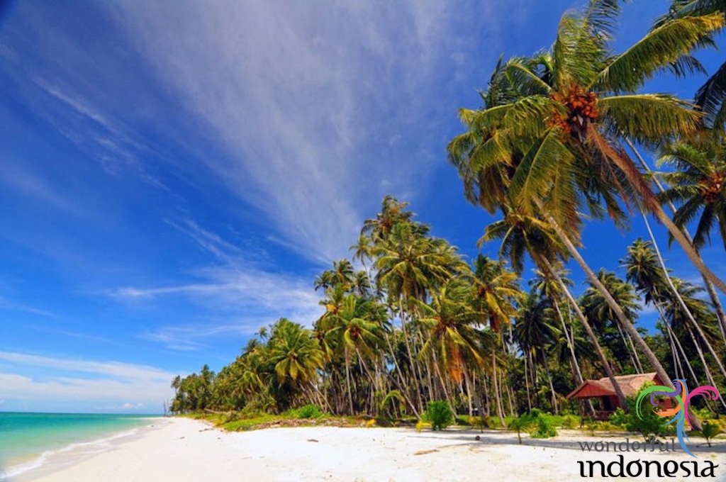 Nangroe Aceh Darussalam Tourism Photo Gallery palambak  