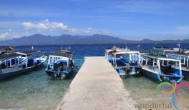 menjangan-island-bali-1.jpg