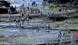 tanah-lot-bali-10.jpg