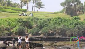 tanah-lot-bali-15.jpg