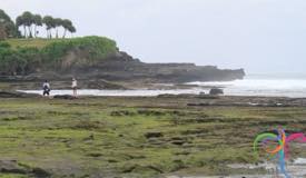 tanah-lot-bali-16.jpg