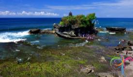 tanah-lot-bali-7.jpg