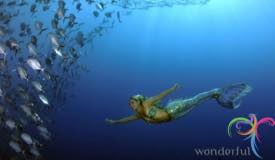 tulamben-diving-sites-karangasem-bali-1.jpg