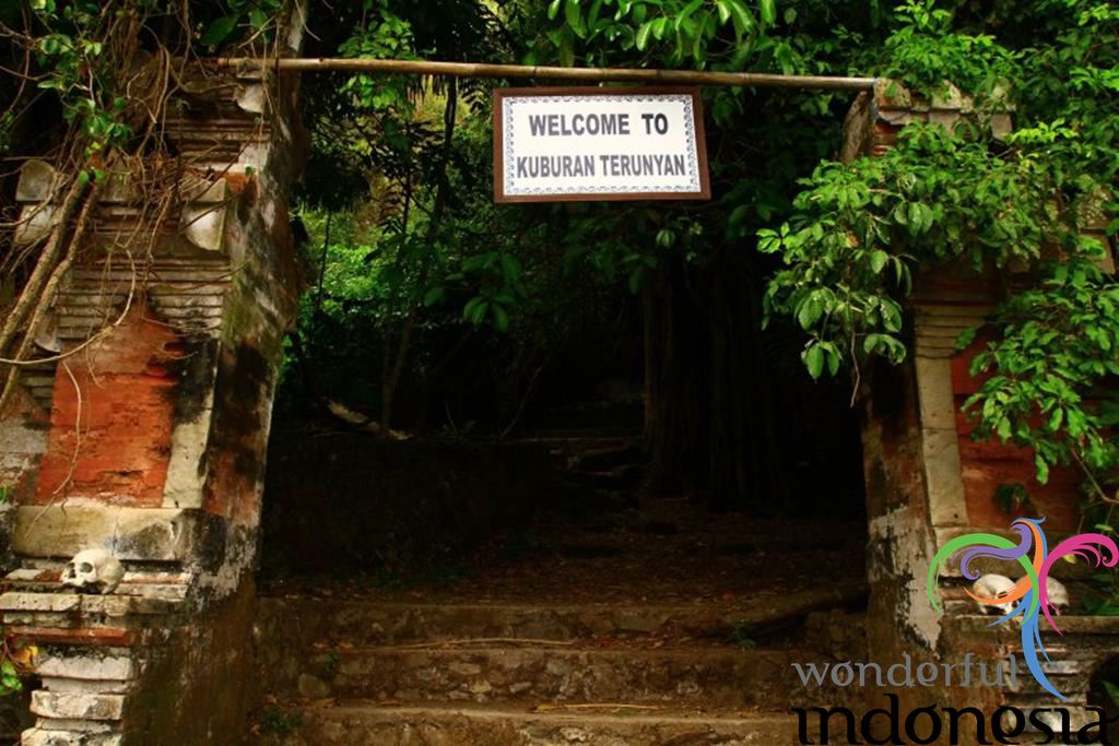 BALI INDONESIA Tourism - Photo Gallery - trunyan cemetery kintamani bali 1