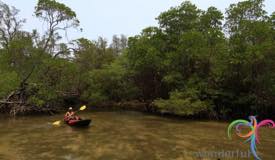 peucang-island-pandeglang-banten-4.jpg