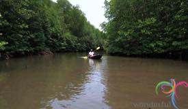 peucang-island-pandeglang-banten-5.jpg