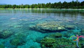 pulau-menjangan-kecil-karimunjawa-1.JPG