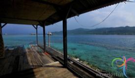 shark-quarantine-karimunjawa-central-java-10.JPG