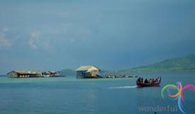 shark-quarantine-karimunjawa-central-java-3.JPG