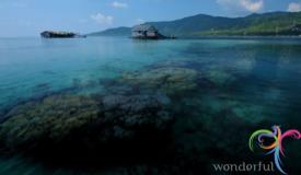 shark-quarantine-karimunjawa-central-java-5.JPG