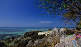 tanjung-gelam-beach-karimunjawa-7.JPG