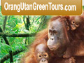 orang utan green tours