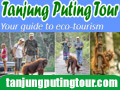 borneo eco tours