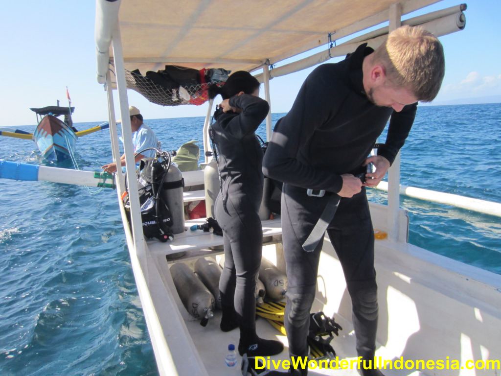 Indonesian Diving Tourism Photo Gallery divewonderfulindonesia719