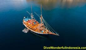 divewonderfulindonesia013.jpg