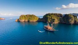 divewonderfulindonesia016.jpg