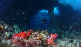 divewonderfulindonesia087.jpg