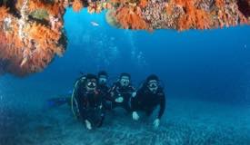 divewonderfulindonesia1226.jpg