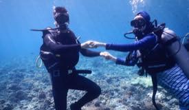 divewonderfulindonesia444.jpg