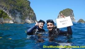 divewonderfulindonesia475.jpg