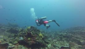 divewonderfulindonesia615.jpg