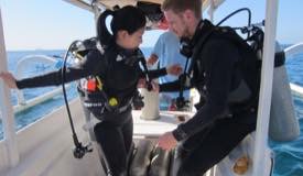 divewonderfulindonesia724.jpg