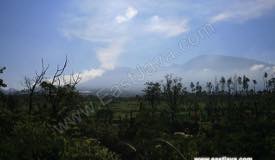 ../images/gallery/coban-talun/coban_talun_12.jpg