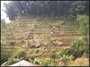 galleries/coban-canggu/preview/coban_canggu_008.jpg