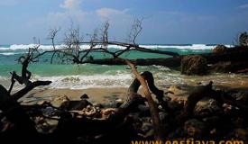 images/gallery/kuncir/kuncir-beach-pacitan-east-java-4.jpg