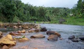 images/gallery/hot-spring/probolinggo_hot_spring_04.jpg