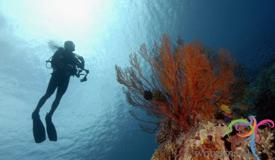 derawan-islands-east-kalimantan-3.JPG