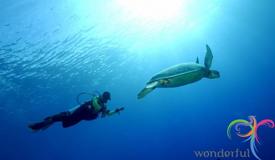 derawan-islands-east-kalimantan-4.JPG