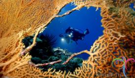 derawan-islands-east-kalimantan-5.JPG