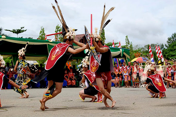 Papatai War Dance Of Dayak Tribe Berau East Kalimantan Province