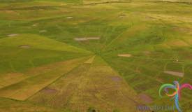 cancar-ricefield-manggarai-east-nusa-tenggara-1.JPG