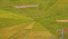 cancar-ricefield-manggarai-east-nusa-tenggara-2.JPG