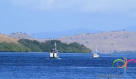 komodo-national-park-indonesia-1.jpg