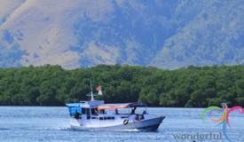 komodo-national-park-indonesia-2.JPG