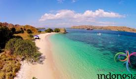 pink-beach-komodo-national-park-indonesia-2.jpg