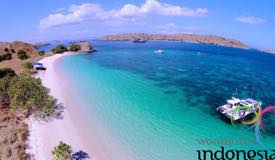 pink-beach-komodo-national-park-indonesia-3.jpg