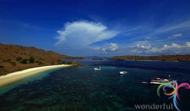 pink-beach-komodo-national-park-indonesia-7.jpg