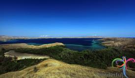 rinca-east-nusa-tenggara.JPG