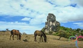 rote-island-east-nusa-tenggara-1.JPG