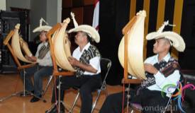 sasando-traditional-music-instrument-indonesia-1.JPG