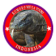 Flores island tour and travel company, organize Flores Komodo tours in Indonesia discover Komodo Dragons, nature and culture by private tour package
